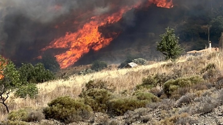 Ενεργοποίηση της υπηρεσίας Copernicus/Emergency Management Service – Mapping της Ε.Ε. για την άμεση χαρτογράφηση περιοχών των περιφερειακών ενοτήτων Αχαΐας και Ηλείας που επλήγησαν από δασικές πυρκαγιές