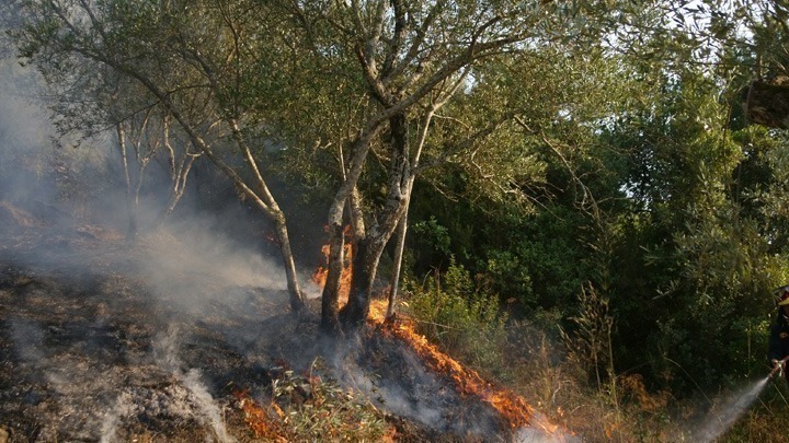 Πυρκαγιά στους Τσολιάδες Κιλκίς – Σηκώθηκε και ελικόπτερο