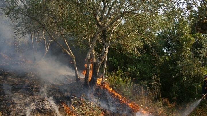 Οριοθετήθηκε η πυρκαγιά σε χαμηλή βλάστηση στο Μαρκόπουλο Μεσογαίας