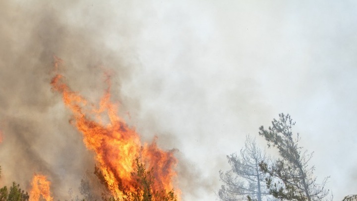 Υπό μερικό έλεγχο η πυρκαγιά στον Ασπρόπυργο