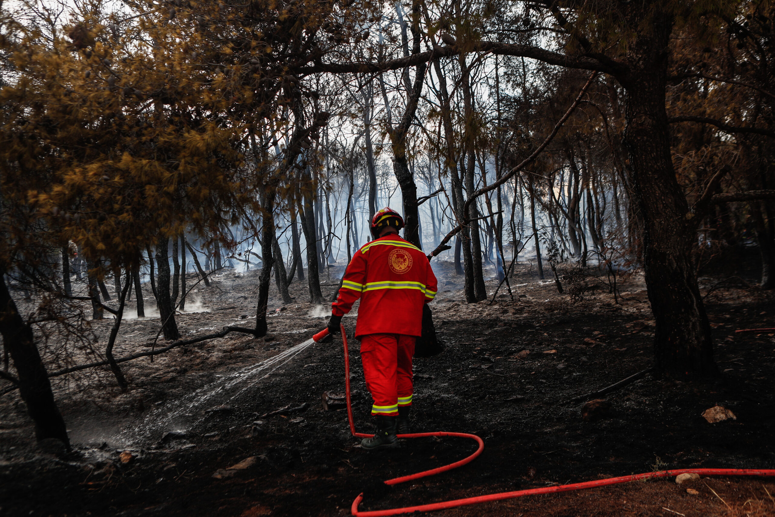 Πολύ υψηλός ο κίνδυνος πυρκαγιάς στη μισή Ελλάδα την Τετάρτη (10/7) – Στο «πορτοκαλί» 16 περιοχές