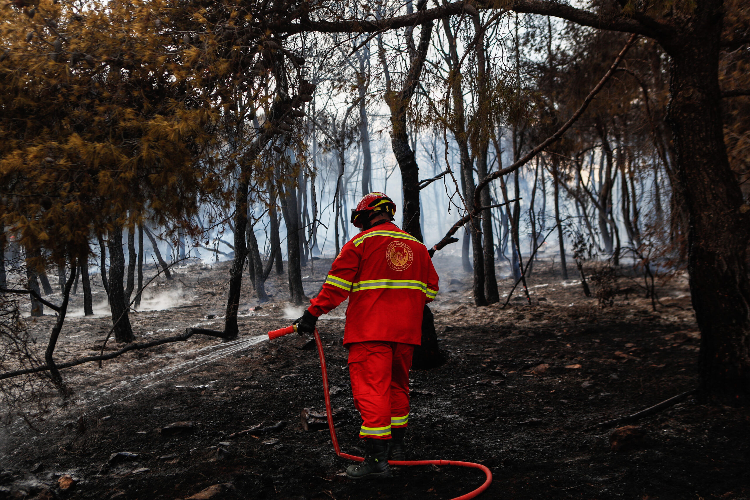 Πυροσβεστική: 45 αγροτοδασικές πυρκαγιές σε 24 ώρες – Οριοθετήθηκε μέσα σε 2 ώρες η πυρκαγιά στα Γλυκά Νερά