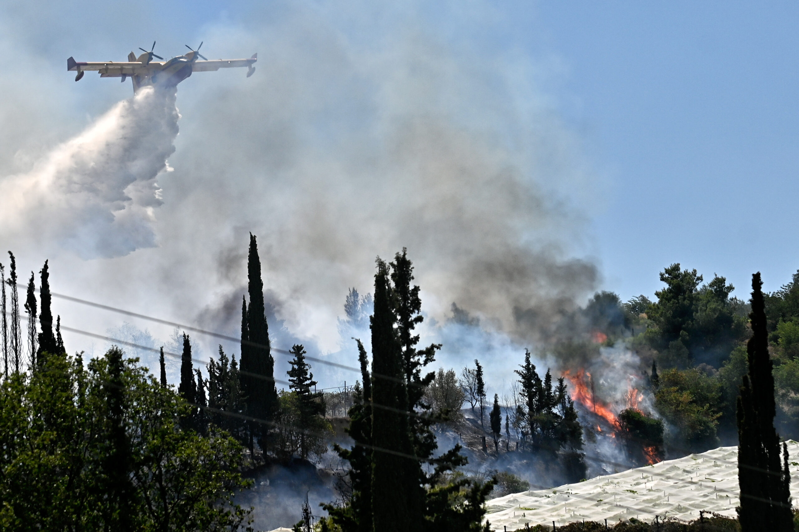 Υψηλός κίνδυνος πυρκαγιάς τη Δευτέρα σε πολλές περιοχές της χώρας