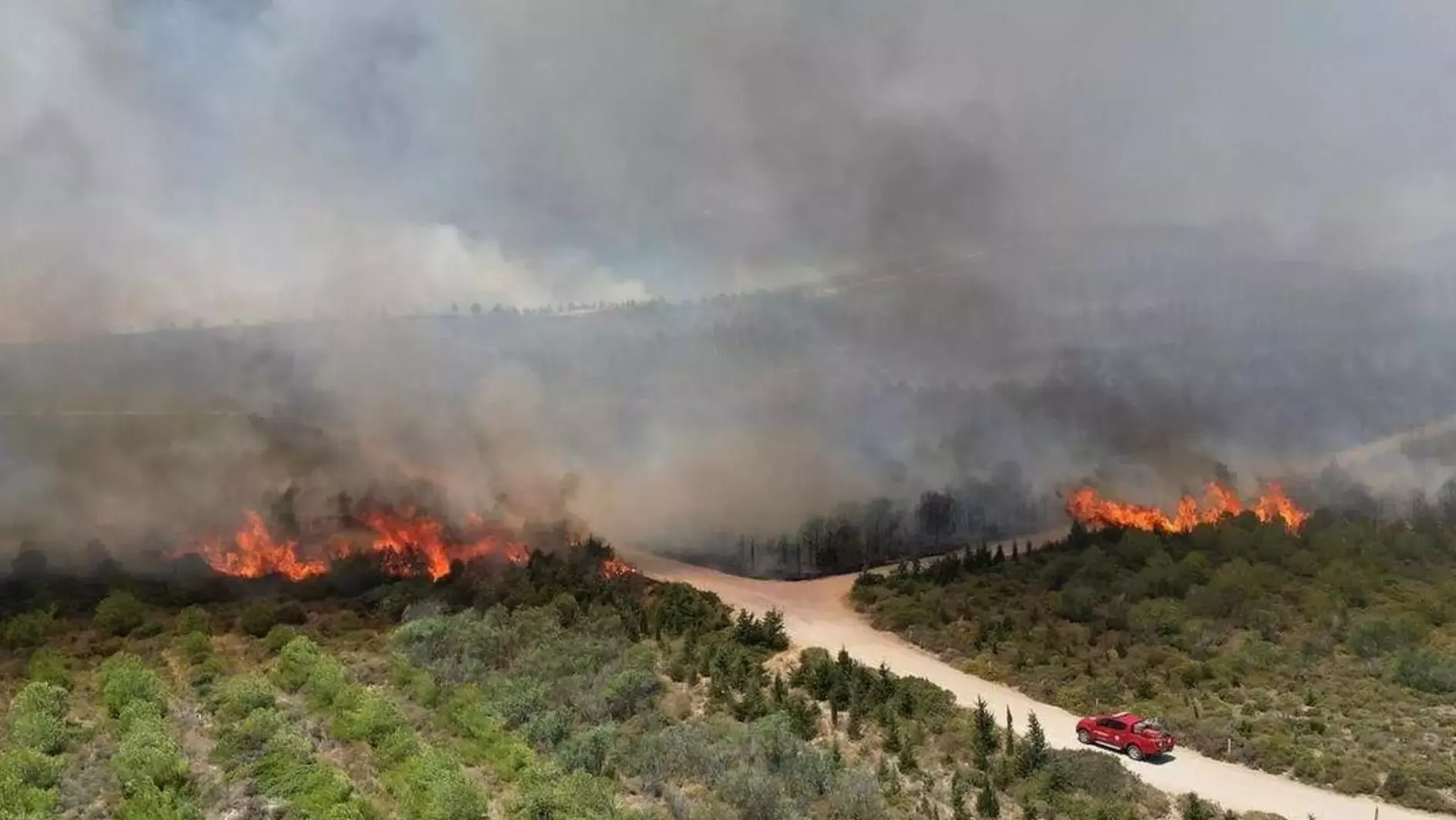 Τουρκία: Τρεις νεκροί από δασική πυρκαγιά στη Σμύρνη