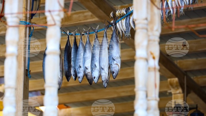 Βουλγαρία – ΒΤΑ: Μείωση των Ρώσων ιδιοκτητών εξοχικών κατοικιών στην ακτή στη Μαύρη Θάλασσα, αύξηση των Βούλγαρων και Δυτικών αγοραστών