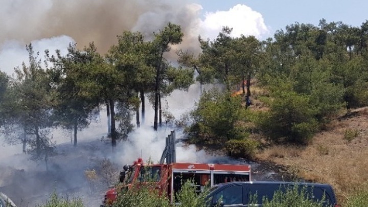Χωρίς ενεργό μέτωπο η πυρκαγιά στο όρος Πάικο Πέλλας – Σε εξέλιξη η φωτιά στο Φαλακρό Δράμας