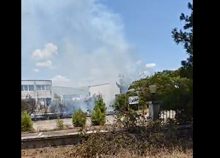 Κιλκίς | Αναζωπυρώθηκε η φωτιά στο Πευκόδασος (ΒΙΝΤΕΟ)