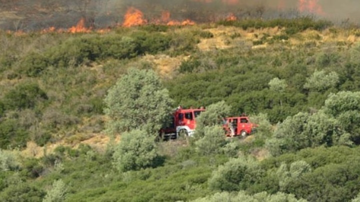 Πυρκαγιά στην περιοχή Κακουραΐκα Αρκαδίας