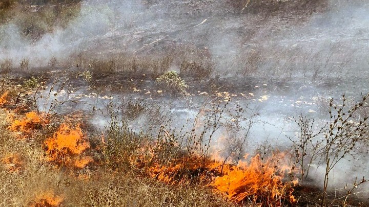 Πυροσβεστική: 38 αγροτοδασικές πυρκαγιές το τελευταίο 24ωρο