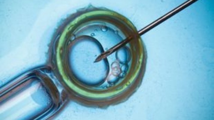 Νέες Κατευθυντήριες Οδηγίες για την Πρόωρη Ωοθηκική Ανεπάρκεια: Συνέντευξη Ειδικού στο ΑΠΕ-ΜΠΕ