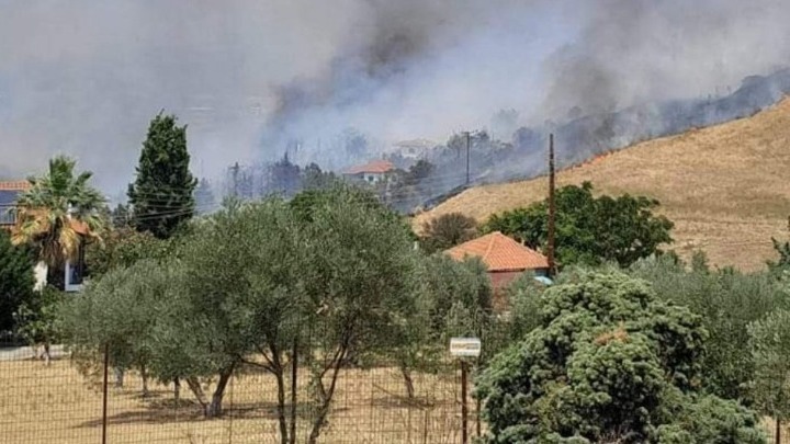 Σε αυλές σπιτιών έφτασαν οι φλόγες από την πυρκαγιά στον Τρίλοφο
