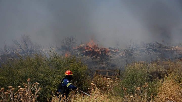 Yπό έλεγχο φωτιά στο ανατολικό Πήλιο – Δεν απειλούνται κατοικημένες περιοχές