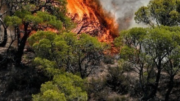 Μερικός Έλεγχος Πυρκαγιάς σε Χαμηλή Βλάστηση στον Ασπρόπυργο