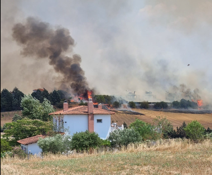 Θεσσαλονίκη | Μεγάλη φωτιά στον Τρίλοφο – Κινδυνεύουν σπίτια (ΕΙΚΟΝΕΣ & ΒΙΝΤΕΟ)