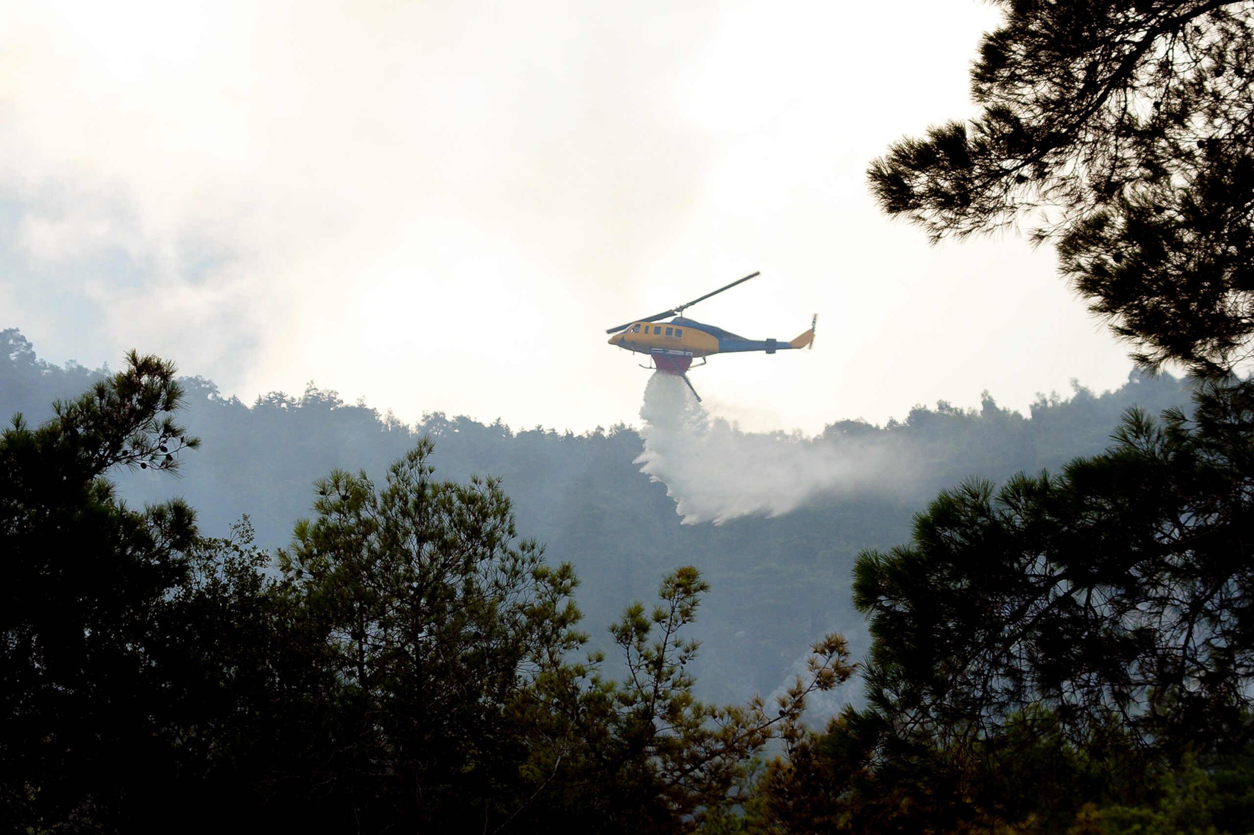 Πολύ υψηλός ο κίνδυνος πυρκαγιάς σε δώδεκα περιοχές την Τρίτη (27/8)