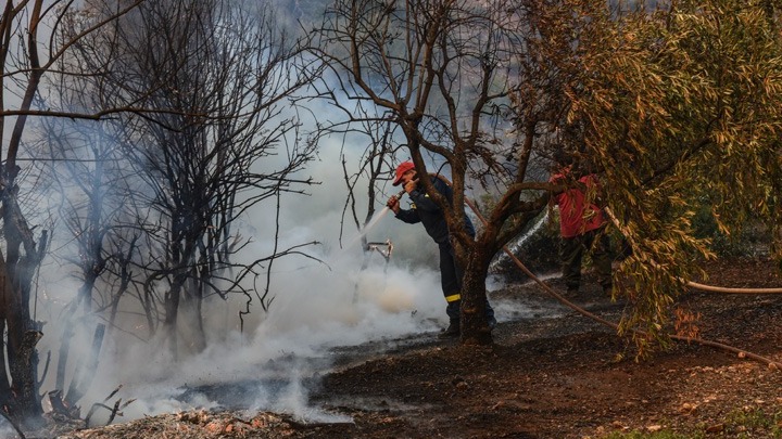 Χωρίς ενεργό μέτωπο η πυρκαγιά στα Μεσοχώρια, βελτιωμένη η κατάσταση στην πυρκαγιά των Ζάρακων Εύβοιας
