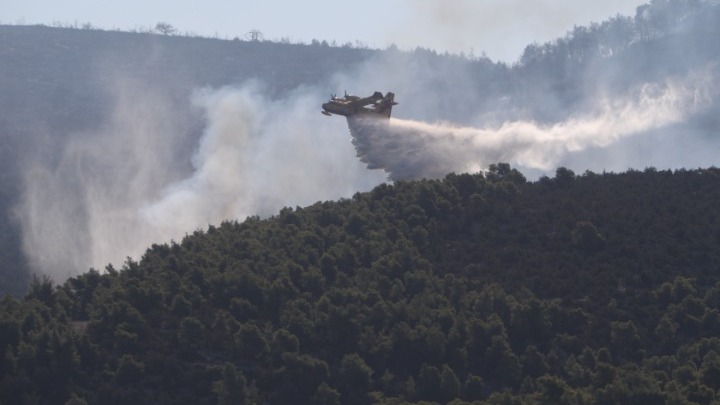 Χωρίς ενεργό μέτωπο η πυρκαγιά στην Εύβοια – Οι δυνάμεις της Πυροσβεστικής αντιμετωπίζουν διάσπαρτες εστίες