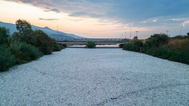 Στήριξη Επιχειρήσεων στους Δήμους Βόλου και Νοτίου Πηλίου λόγω Νεκρών Ψαριών στον Παγασητικό Κόλπο