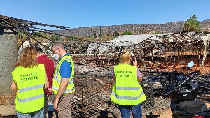 Ολοκληρώθηκαν οι αυτοψίες της Περιφέρειας Αττικής στις πληγείσες από πυρκαγιές επιχειρήσεις