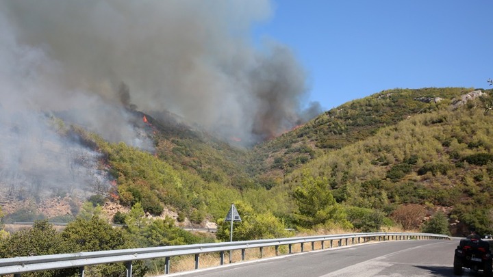 Οι αυτοψίες της Περιφέρειας Αττικής στις πυρόπληκτες επιχειρήσεις συνεχίζονται