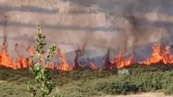 Πυρκαγιά σε δασική έκταση στο Πλαίσιο Θεσπρωτίας – Οριοθετημένη και χωρίς ενεργό μέτωπο η πυρκαγιά στην περιοχή Μπούγια Δροσοπηγής Ιωαννίνων
