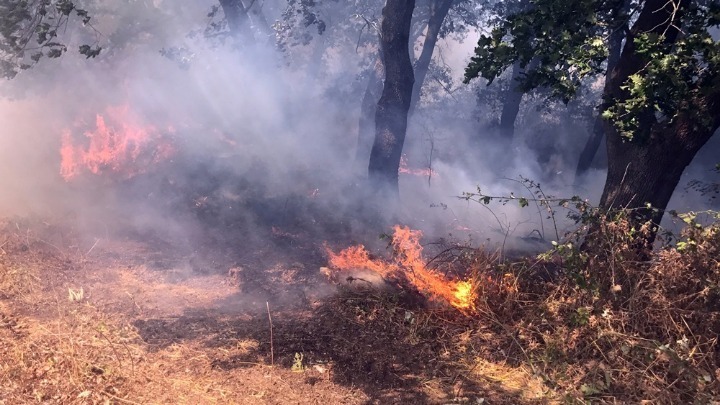 Περιοχές με εξαιρετικά υψηλό κίνδυνο πυρκαγιάς σήμερα