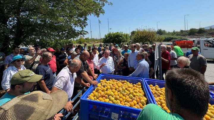 Επίσκεψη του Διονύση Σταμενίτη στις Πληγείσες Περιοχές της Ημαθίας από Χαλαζόπτωση