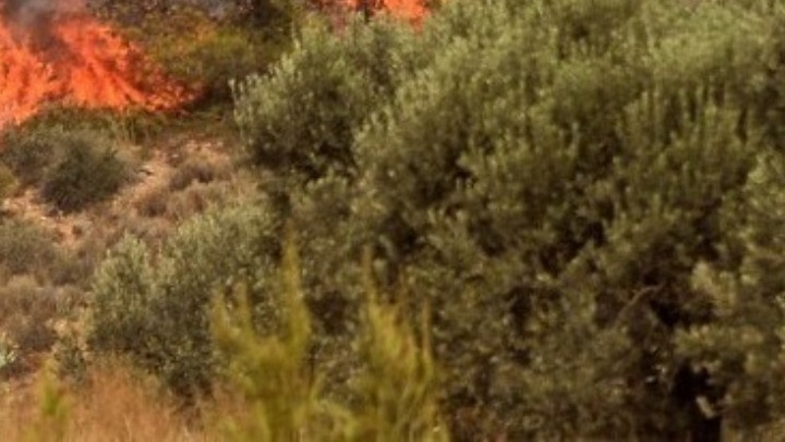 Συνελήφθησαν δύο Ιταλοί για φωτιά σε παραλία στους Αντίπαξους