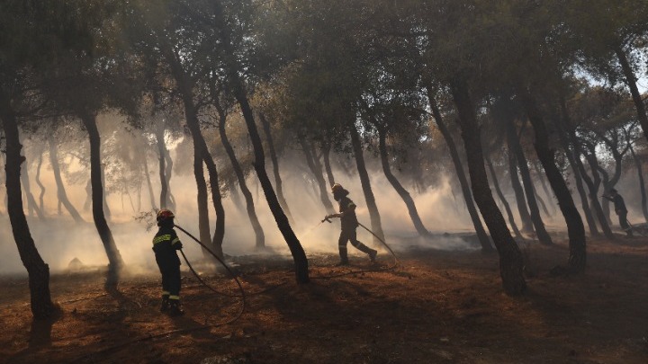 Τέσσερα κράτη-μέλη της ΕΕ συμβάλλουν στην καταπολέμηση των δασικών πυρκαγιών στην Αττική, μέσω του Ευρωπαϊκού Μηχανισμού Πολιτικής Προστασίας