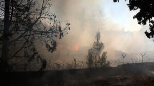 Ξεκινά η υποβολή αιτήσεων για κρατική αρωγή, στεγαστική συνδρομή και κάλυψη οικοσκευής για τους πυρόπληκτους