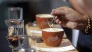 Η μέτρια κατανάλωση καφέ και καφεΐνης σχετίζεται με χαμηλότερο κίνδυνο εμφάνισης πολλαπλών καρδιομεταβολικών νοσημάτων