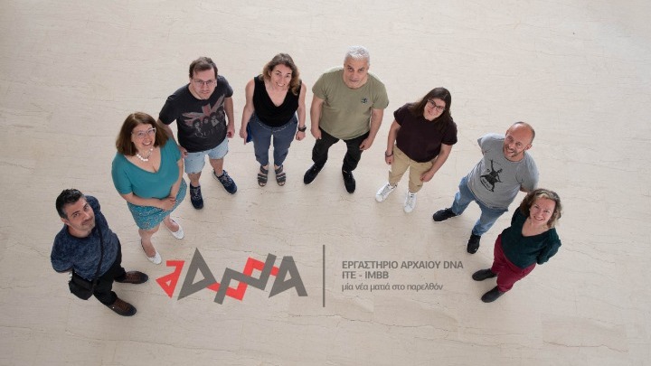 Αξιοσημείωτα αποτελέσματα του ΙΤΕ για τη διαλειμματική νηστεία και οι προοπτικές τους σε κλινικές μελέτες