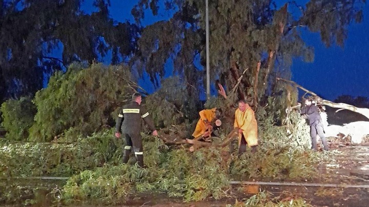 Σημαντικές ζημιές από μπουρίνι στη Λαμία: Ξερίζωσαν δέντρα και παρέλυσαν την κυκλοφορία