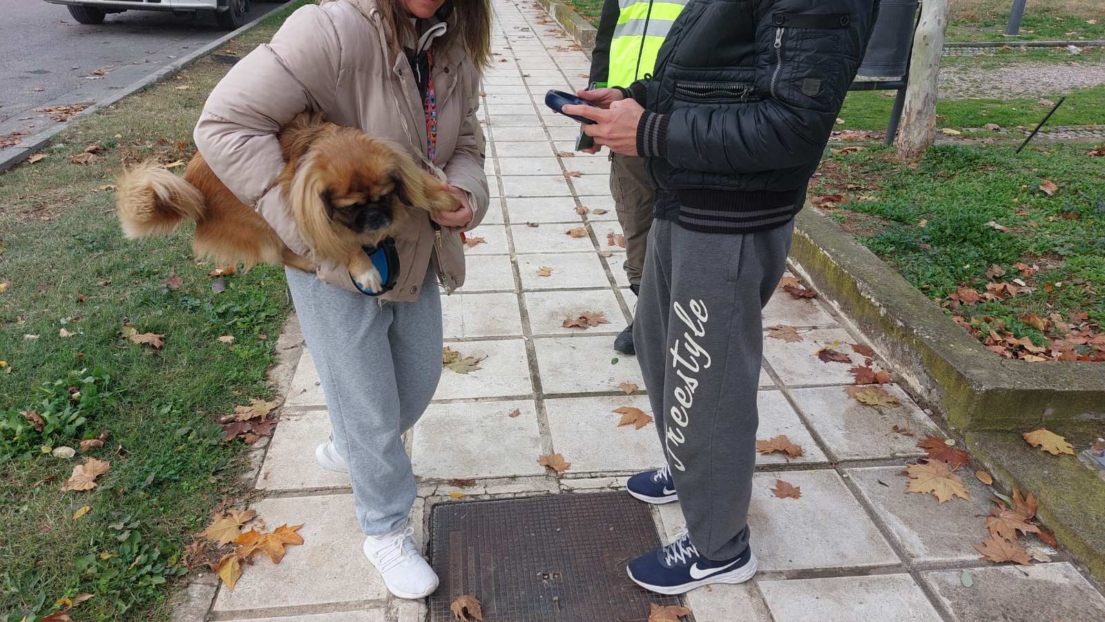 Έλεγχοι σε δεσποζόμενα ζώα συντροφιάς πραγματοποιήθηκαν από το Αστυνομικό Τμήμα Κορδελιού – Ευόσμου