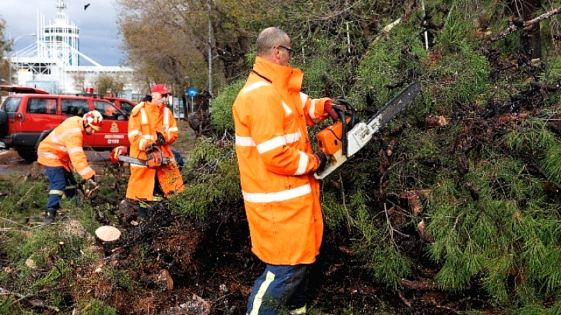 ΔΕΔΔΗΕ: Ολοκλήρωση αποκατάστασης ζημιών από την κακοκαιρία Bora