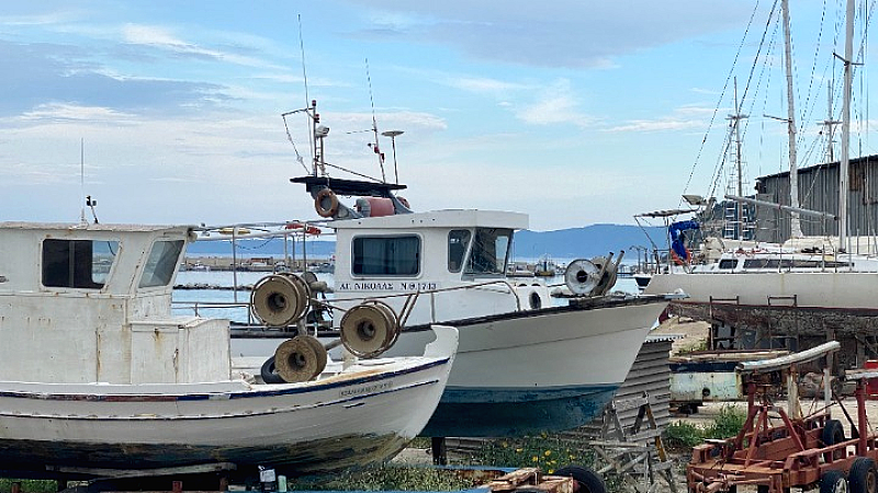 Πρωτοβουλία του ΤΕΕ για την προστασία των καρνάγια