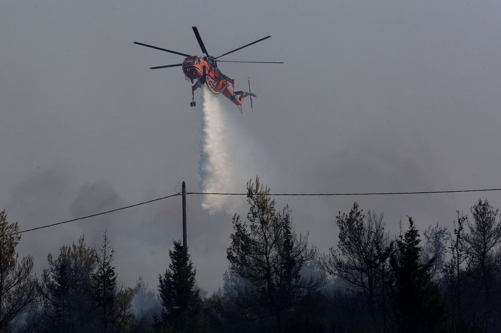 Έκθεση Meteo WWF: Αύξηση 42% στις πυρκαγιές από το 2006 έως το 2023