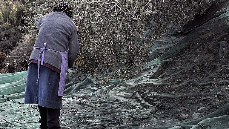 Η αυξημένη υπνηλία στις ηλικιωμένες γυναίκες και ο διπλάσιος κίνδυνος εμφάνισης άνοιας
