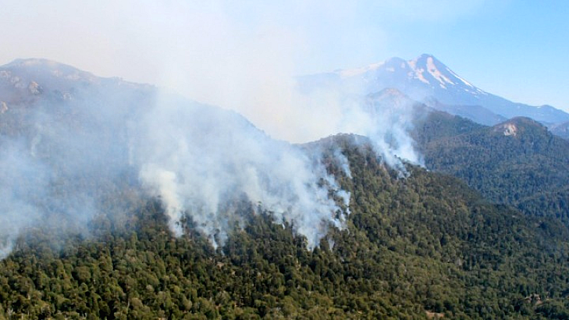 Σφοδρές πυρκαγιές πλήττουν τη νότια Χιλή