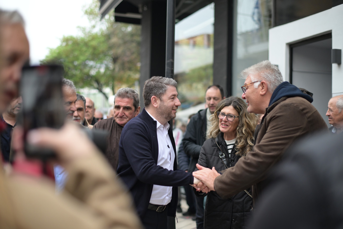 Ανδρουλάκης στην Άρτα: Η εργαλειοποίηση των Τεμπών από όλες τις πλευρές είναι λανθασμένη