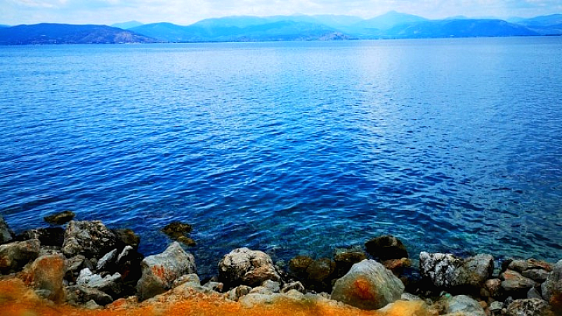 Διεθνής αναγνώριση Ελλήνων επιστημόνων για την έρευνα των δασικών πυρκαγιών και των θαλάσσιων οικοσυστημάτων