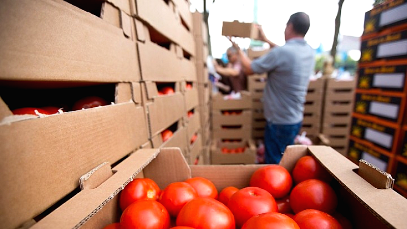Στρατηγικός σχεδιασμός για το μέλλον της γεωργίας και των τροφίμων στην Ευρώπη έως το 2040