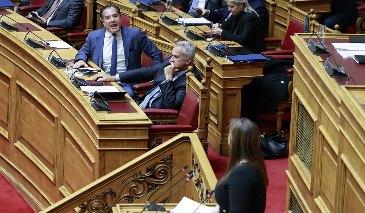 Σφοδρή σύγκρουση Άδωνι Γεωργιάδη – Ζωής Κωνσταντοπούλου στη Βουλή: «Διακατέχεστε από ναζιστική λογική»