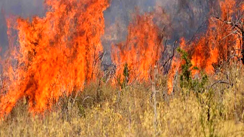 Καταγγελία της ΠΦΠΟ για πυρκαγιές από παράνομη χρήση βεγγαλικών σε Δήμους της Ανατολικής Αττικής