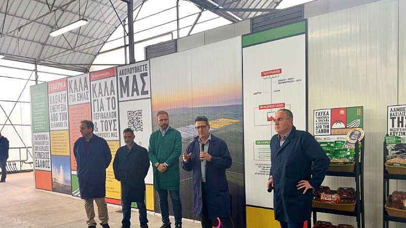 Επένδυση 35 εκατ. ευρώ στα θερμοκήπια Θράκης: Προοπτικές και Στρατηγική Ανάπτυξης