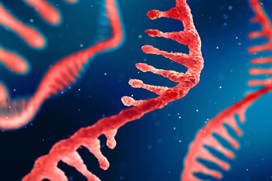 Πειραματικές θεραπείες mRNA υπόσχονται να αντιμετωπίσουν δύο κρίσιμες αιτίες θανάτου