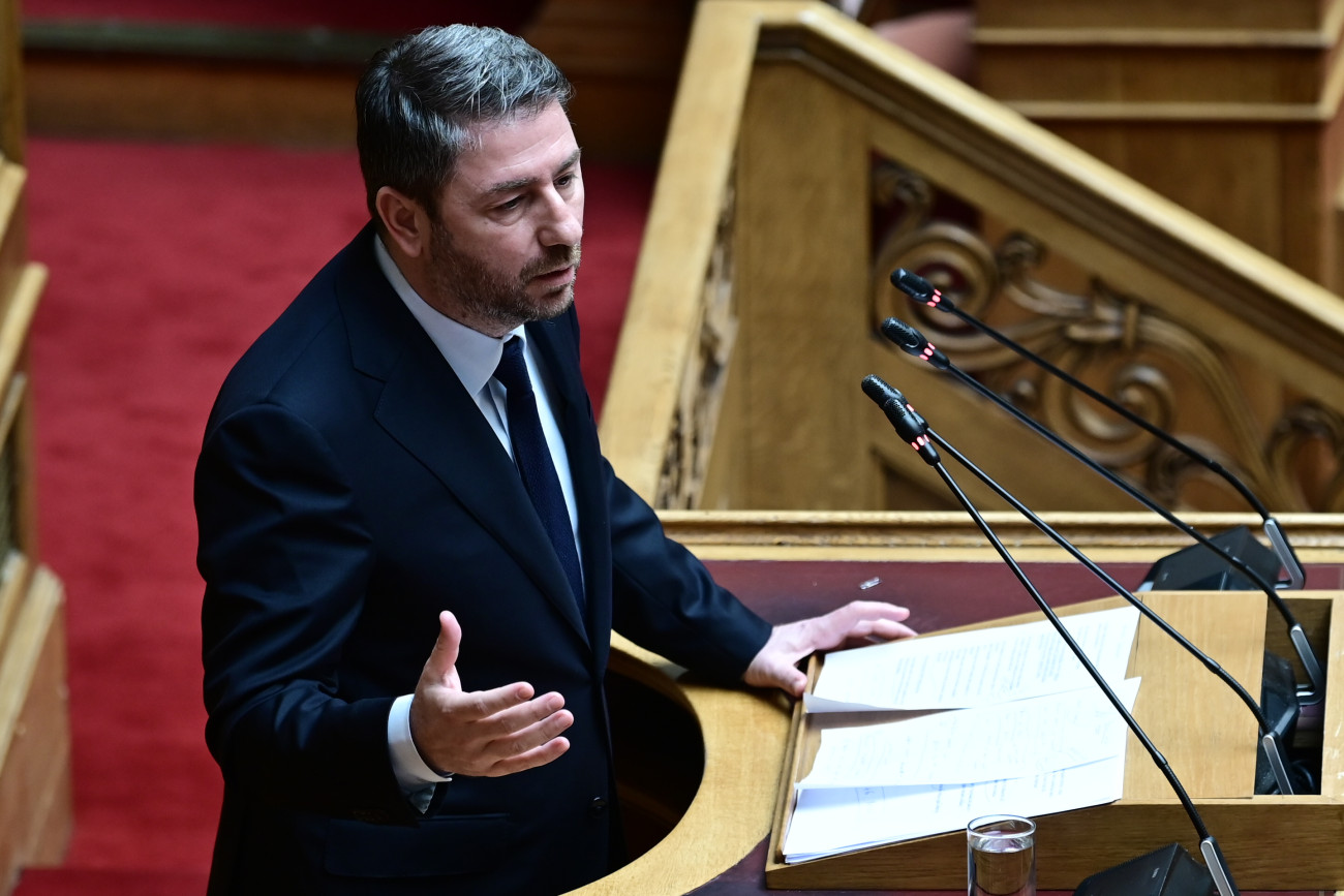 Ανδρουλάκης: Τρεις θλιβερές πρωτιές για τη Δυτική Μακεδονία κατά τη διάρκεια της πρωθυπουργίας Μητσοτάκη