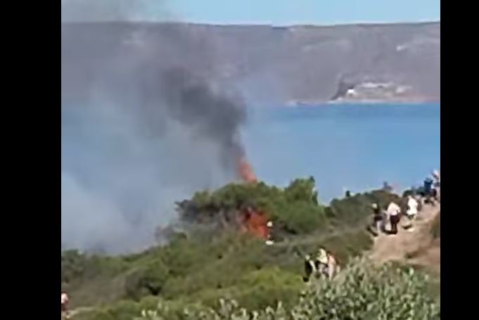 Φωτιά σε δασική έκταση στο Σούνιο: Αντίκτυποι και άμεσες ενέργειες για την κατάσβεση