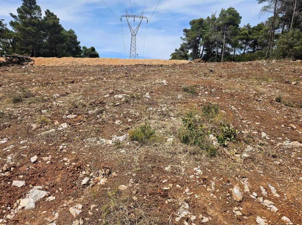 Παράταση προθεσμίας για τον καθαρισμό οικοπέδων έως τις 15 Ιουνίου