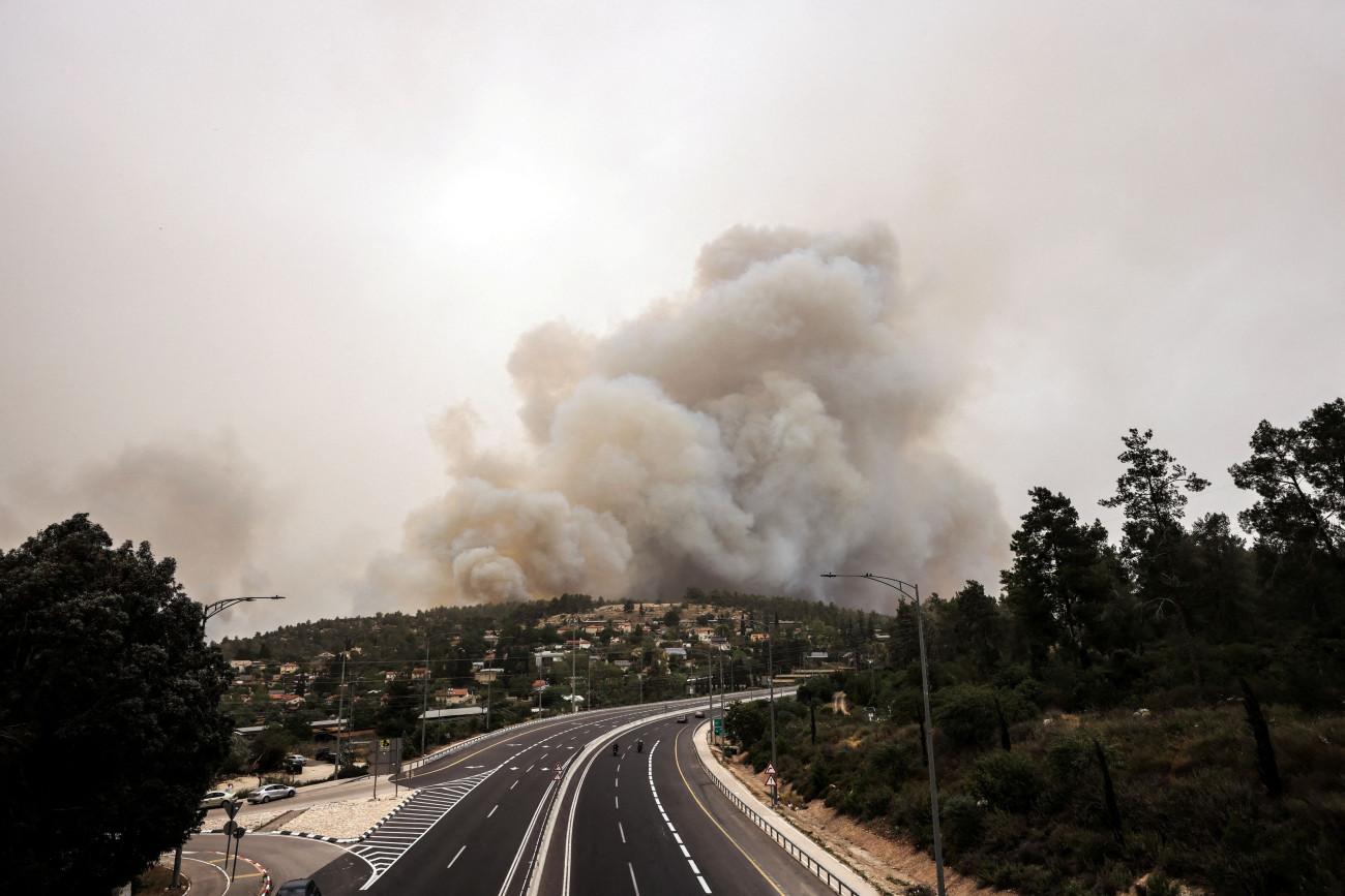 Ισραήλ σε πύρινο κλοιό: Έκκληση για βοήθεια από Ελλάδα, Κύπρο, Ιταλία και Κροατία